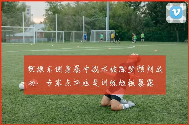 樊振东侧身暴冲战术被陈梦预判成功，专家点评这是训练短板暴露