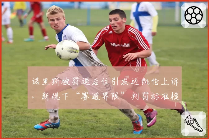 诺里斯被罚退后位引发迈凯伦上诉，新规下“赛道界限”判罚标准模糊