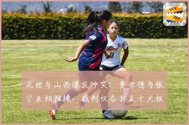 北控与山西爆发冲突：费尔德与张宁互相推搡，裁判仅各打五十大板？