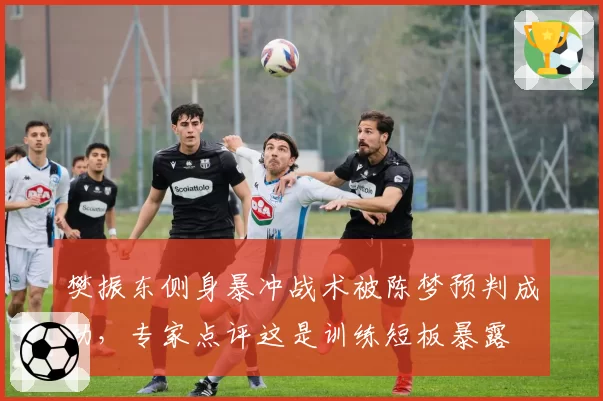 樊振东侧身暴冲战术被陈梦预判成功,专家点评这是训练短板暴露