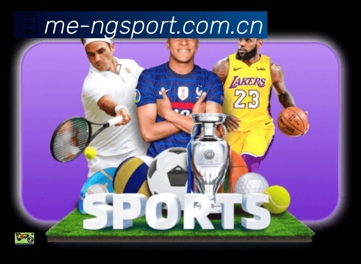 ng体育平台展示图